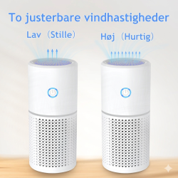 Luftrenser med aktivt kulfilter