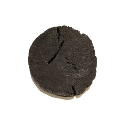 Lille Sumi Stykke af aktivt kul