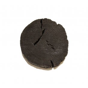 Lille Sumi Stykke af aktivt kul